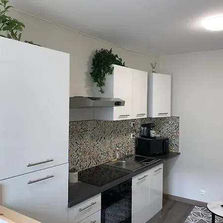 Le Cocon T2 Duplex 24 M2 Appartement
